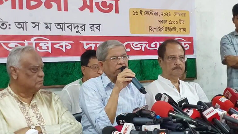 সব সংস্কার কাজ অন্তর্বর্তী সরকার করলে তো জনগণ ও সংসদের দরকার নেই : মির্জা ফখরুল